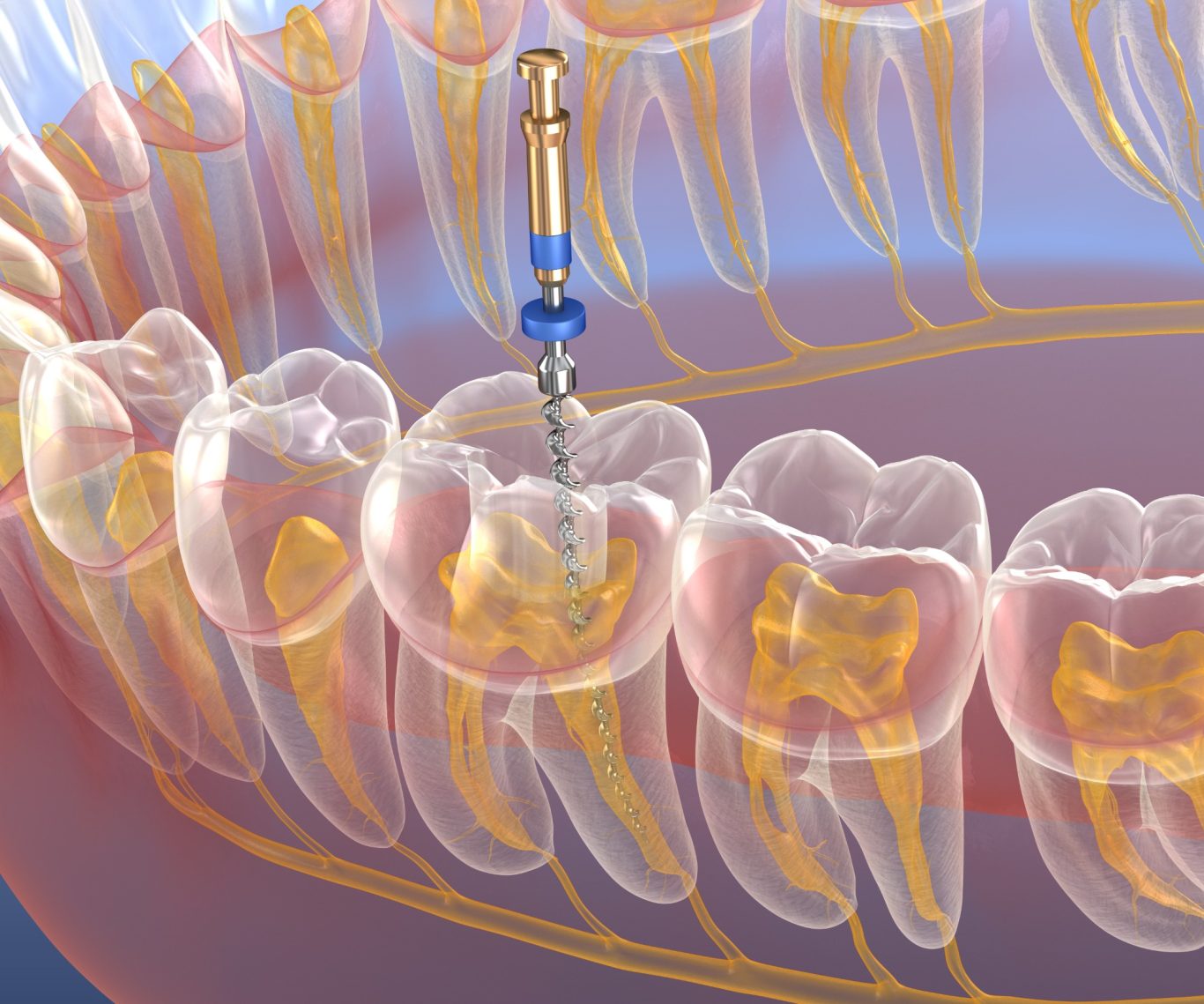 Endodontie